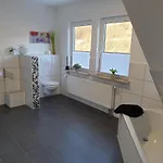 Vier Pfoten