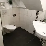 Vier Pfoten