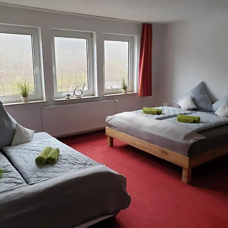 Apartman Vier Pfoten Willingen