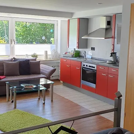 Vier Pfoten Lägenhet Willingen (Upland)