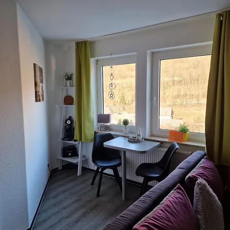 Vier Pfoten * Willingen