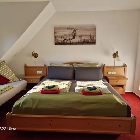 Apartman Vier Pfoten *
