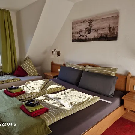 Vier Pfoten Appartement Willingen (Upland)