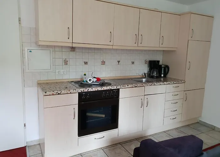 Vier Pfoten * Willingen (Upland)