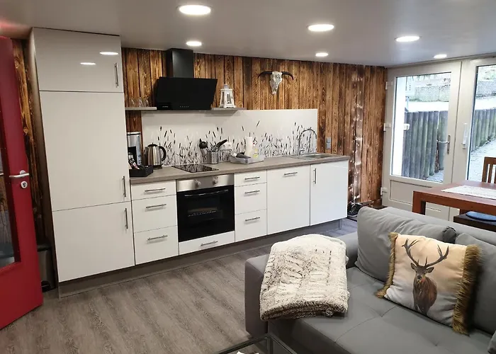 Vier Pfoten Willingen (Upland)