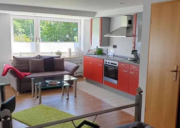 Vier Pfoten 아파트 빌링겐