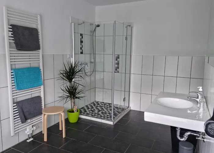 Vier Pfoten * 빌링겐