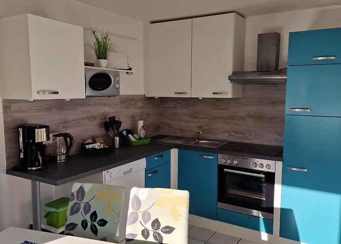 Vier Pfoten 빌링겐