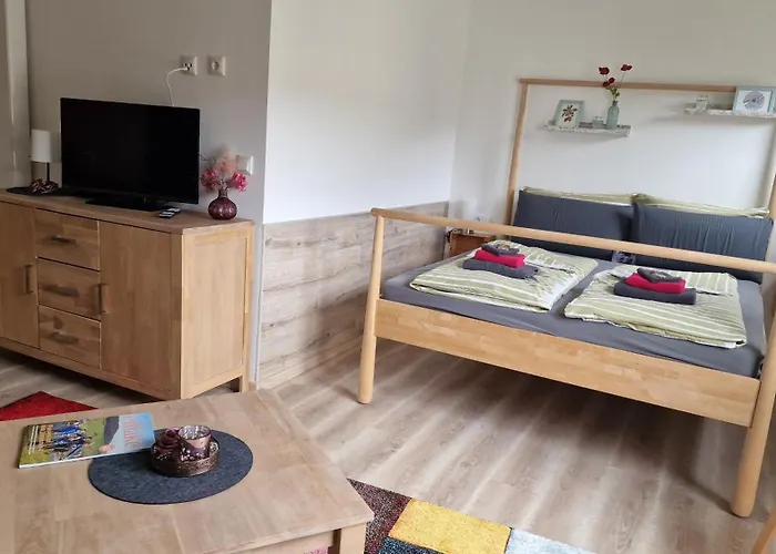 Vier Pfoten 빌링겐