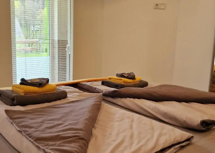 Vier Pfoten Appartamento *