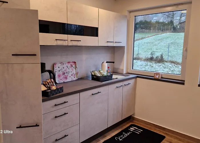 아파트 Vier Pfoten 빌링겐