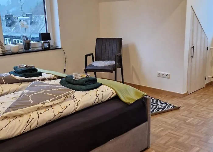 Vier Pfoten 아파트 빌링겐