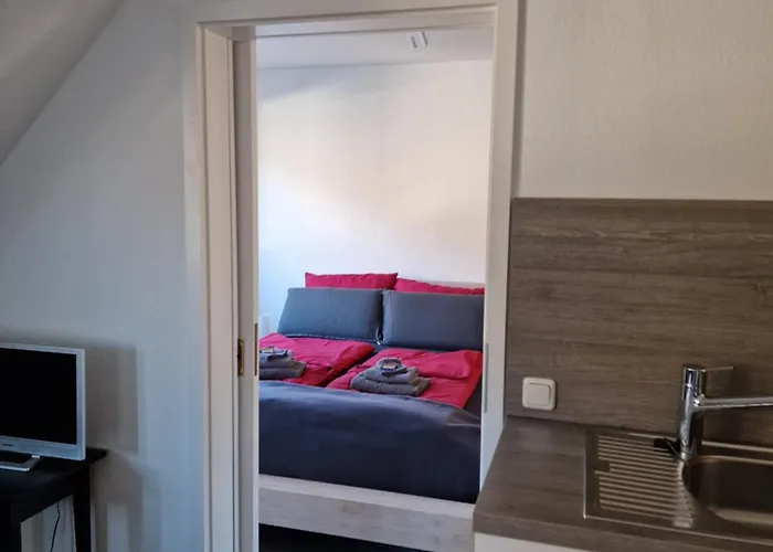 Vier Pfoten 아파트