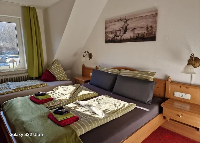 Vier Pfoten 아파트 빌링겐